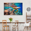 Vivid Sea Life Wall Art Vivid Sea Life Wall Art