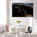 Comfortable Black Panther Wall Art Comfortable Black Panther Wall Art