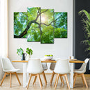 Tree Canopy Sunshine Wall Art Tree Canopy Sunshine Wall Art