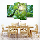 Tree Canopy Sunshine Wall Art Tree Canopy Sunshine Wall Art
