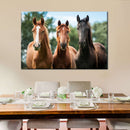 Young Horses Wall Art Young Horses Wall Art