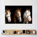 American Paint Horses Wall Art American Paint Horses Wall Art