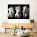 Three White Horses Wall Art Three White Horses Wall Art