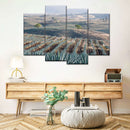 Tequila Jalisco Agave Field Wall Art Tequila Jalisco Agave Field Wall Art