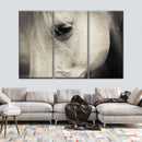 White Horse Eye Wall Art White Horse Eye Wall Art