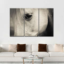 White Horse Eye Wall Art White Horse Eye Wall Art