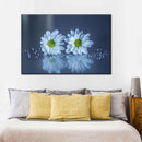 White Daisies Wall Art White Daisies Wall Art
