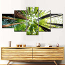 Ancient California Redwood Wall Art Ancient California Redwood Wall Art