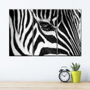 Zebra Eye Wall Art Zebra Eye Wall Art