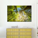 Tree Top Wall Art Tree Top Wall Art