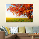 Autumn Oak Tree Wall Art Autumn Oak Tree Wall Art