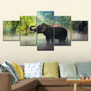 Wild Elephant Wall Art Wild Elephant Wall Art