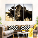 Black Angus Cattle Wall Art Black Angus Cattle Wall Art