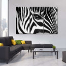 Zebra Eye Wall Art Zebra Eye Wall Art