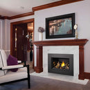 Napoleon Oakville X3/X4 Direct Vent Electronic Ignition Natural Gas Fireplace Insert (GDIX3N/4N-1) (SAK21347) Napoleon Oakville X3/X4 Direct Vent Electronic Ignition Natural Gas Fireplace Insert (GDIX3N/4N-1) (SAK21347)