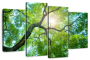 Tree Canopy Sunshine Wall Art Tree Canopy Sunshine Wall Art