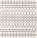 White Gray Navassa Rug - Promo White Gray Navassa Rug - Promo