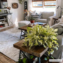 Poydras High-Low Rustic Rug Poydras High-Low Rustic Rug