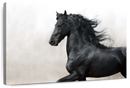 Black Friesian Horse Wall Art Black Friesian Horse Wall Art