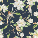 Blooming Magnolia Flowers Wallpaper on Blue Background Blooming Magnolia Flowers Wallpaper on Blue Background