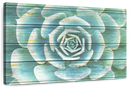 Succulent Plant Bloom Wall Art Succulent Plant Bloom Wall Art