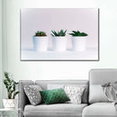 Three Succulents Wall Art Three Succulents Wall Art