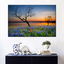 Texas Sunset Wall Art Texas Sunset Wall Art