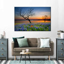Texas Sunset Wall Art Texas Sunset Wall Art