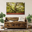 Charleston Angel Oak Tree Wall Art Charleston Angel Oak Tree Wall Art