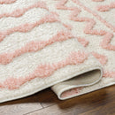 Darva Pink Plush Area Carpet Darva Pink Plush Area Carpet