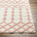 Darva Pink Plush Area Carpet Darva Pink Plush Area Carpet