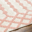 Darva Pink Plush Area Carpet Darva Pink Plush Area Carpet