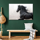 Black Friesian Horse Wall Art Black Friesian Horse Wall Art