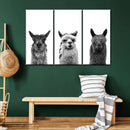 Trio Alpaca Wall Art Trio Alpaca Wall Art