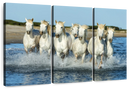 7 Horses Wall Art 7 Horses Wall Art