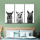 Trio Alpaca Wall Art Trio Alpaca Wall Art