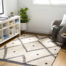 Shae Area Rug Shae Area Rug
