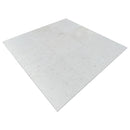 Shell Stone White Limestone Tiles Floor and Wall Tile Shell Stone White Limestone Tiles Floor and Wall Tile