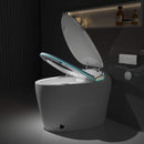Smart One-Piece Toilet With Bidet, Foot Sensor, LED Display And Dryer (SAK80112) Smart One-Piece Toilet With Bidet, Foot Sensor, LED Display And Dryer (SAK80112)
