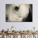White Horse Eye Wall Art White Horse Eye Wall Art