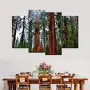 Vibrant Redwood Wall Art Vibrant Redwood Wall Art