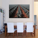 Agave Field Wall Art Agave Field Wall Art