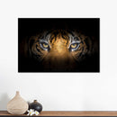 Tiger Gaze Wall Art Tiger Gaze Wall Art