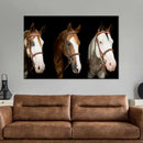 American Paint Horses Wall Art American Paint Horses Wall Art