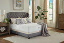 Eco Mattress - The Eco Bliss Eco Mattress - The Eco Bliss
