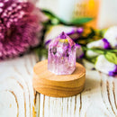 The Serenity Lamp The Serenity Lamp