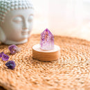 The Serenity Lamp The Serenity Lamp
