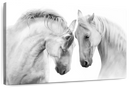 White Horse Couple Wall Art White Horse Couple Wall Art