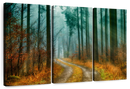 Autumn Forest Pathway Wall Art Autumn Forest Pathway Wall Art