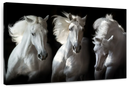 Three White Horses Wall Art Three White Horses Wall Art